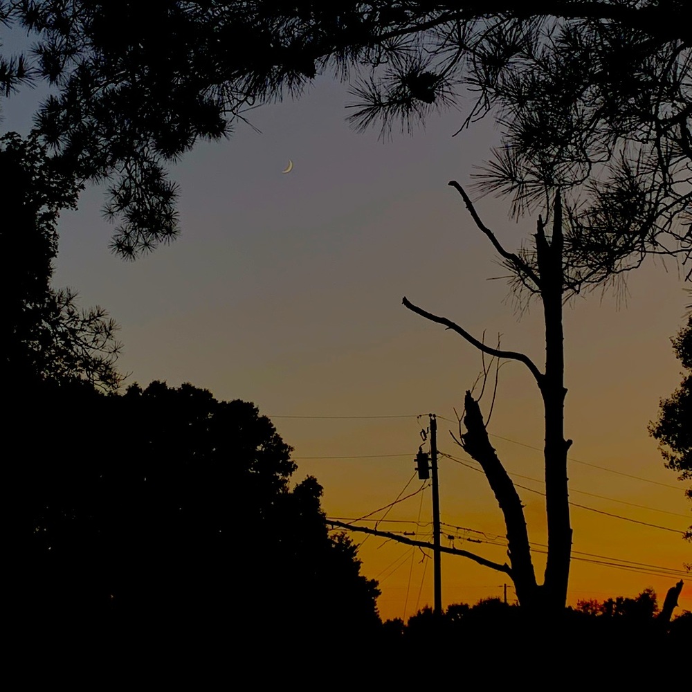 Meet your Posher, Ava